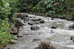Raj Estate Stay