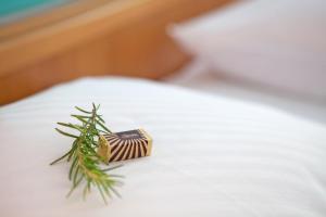 BRETANIDE Sport & Wellness Resort -Inclusive