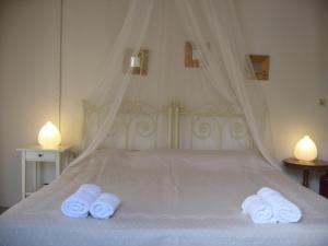Superior Studio with Queen Bed