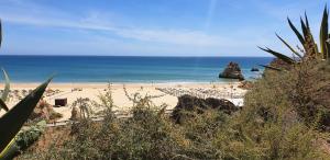 Sol da Rocha Studio by Sunny Deluxe