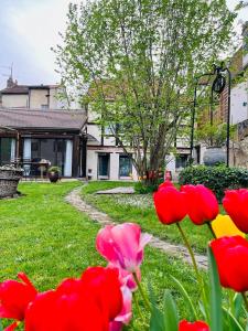 Maisons de vacances Au petit Jardin Sezannais : photos des chambres