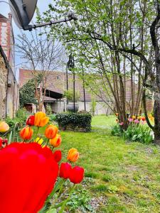 Maisons de vacances Au petit Jardin Sezannais : photos des chambres