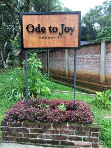 Ode to Joy