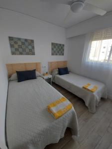 APARTAMENTO ROMA XI