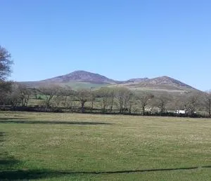 Woodpecker Cottage - Carnguwch