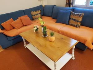 PROVENÇAL HOUSE IN FAYENCE with POOL & INDOOR SPA