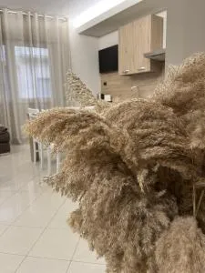 Casa Pati - Pomarico