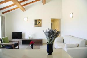 Residence Salina Bay, Porto Vecchio, Apartment pool side-ex TUI