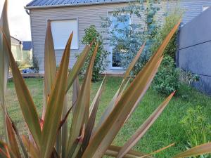 Maisons de vacances Planchesdisa : photos des chambres