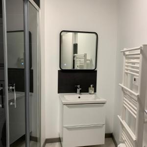 Appartement 4 PERSONNES EMPLACEMENT IDEAL PROCHE DES 24H ET GARE