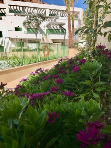 BeachHomesMojacar CantalHomes