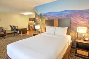 Queen Suite - Accessible/Non-Smoking room in MainStay Suites Conference Center Pigeon Forge