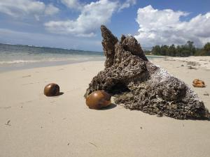 Modern, Welcoming Studio, Ocean View in Juan Dolio