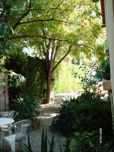 B&B / Chambres d'hotes Les Tilleuls B&B : photos des chambres