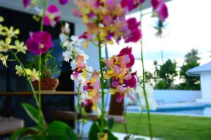 Mango Beach Resort Thailand