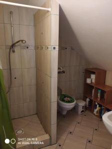 Agroturystyka Patynówka