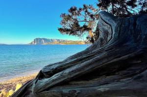 Punta Est - Trilo Elicrisio Terrazza Vista Mare img23