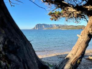 Punta Est - Trilo Elicrisio Terrazza Vista Mare img25