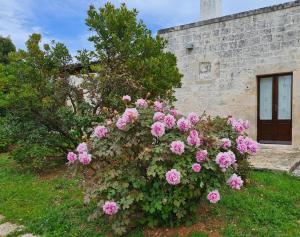 Masseria Montecchie