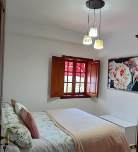 Casas Ricardo 4