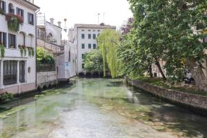 Treviso City Town 1