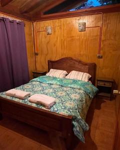 Cabaña Antu-Meli, Liquiñe