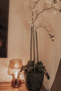 Appartements Studio tt confort coeur ville avec terrasse et parking gratuit : photos des chambres