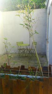 STUDIO PROCHE DE LA MER