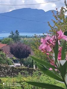 Maisons de vacances Du Vent Dans Les Arbres - Belle vue sur le lac : photos des chambres