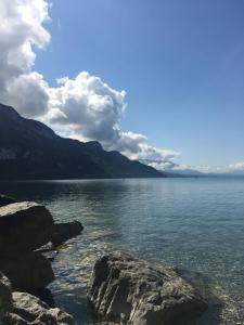 Maisons de vacances Du Vent Dans Les Arbres - Belle vue sur le lac : photos des chambres