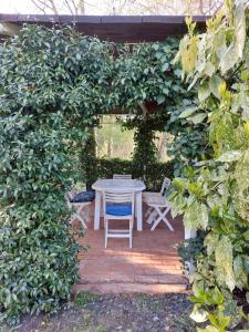 La Collina delle Acacie