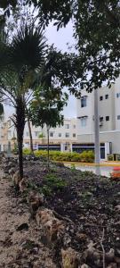 Lovely Apartment HOEStel Pedreira!