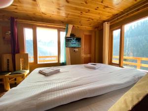 1 BHK INDEPENDENT MUD HOUSE WITH NETFLIX, POWER BACKUP, WIFi ,BALCONY, KITCHEN