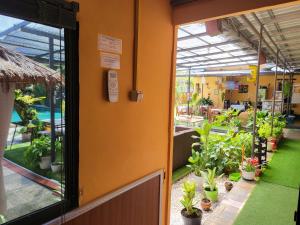 Giường trong Phòng ngủ Tập thể 4 Giường cho cả Nam và Nữ  (Bed in 4 Bed Mixed Dormitory)