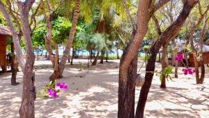 Cocoville