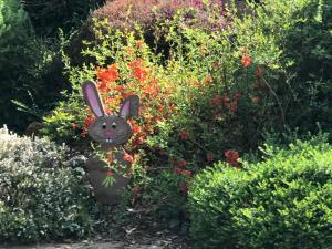 Villas Bien etre et detente chez cote campagne et jardin : photos des chambres