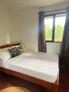 Beach House and Attic