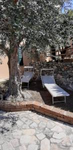 Rivierarent Appartamento Ulivo