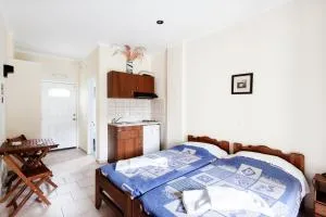 Despina Studio with Kitchenette Raxes #3 - Manganítis