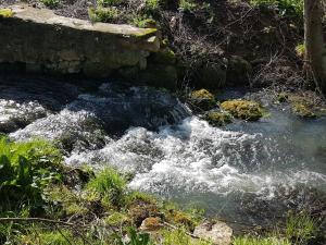 B&B / Chambres d'hotes Le Moulin du Chatelier : photos des chambres