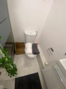 Studio moderne & fonctionnel