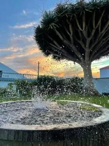 Casa Às Seis - Serreta