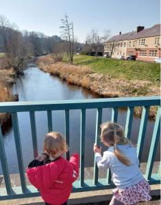 Beautiful cozy 3 bedroom 2 bathroom apartment