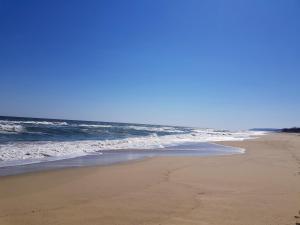 CarolMike Oasis Beach Apartment Kamchia Reserve