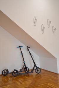 Spacious 1-bedroom apartment