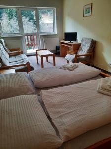 Horský Hotel Podjavorník