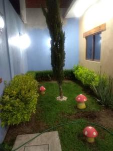 Sol y Luna Teotihuacan