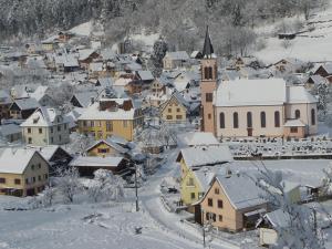 Appartements Gite du Silberwald charmant gite avec spa - jacuzzi , acces privatif : photos des chambres