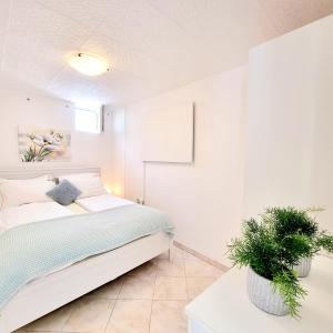 Apartments Villa Bazilika