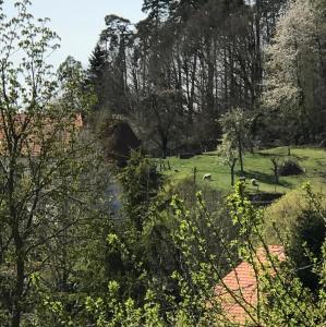 B&B / Chambres d'hotes Le Clos d'Aure. : photos des chambres